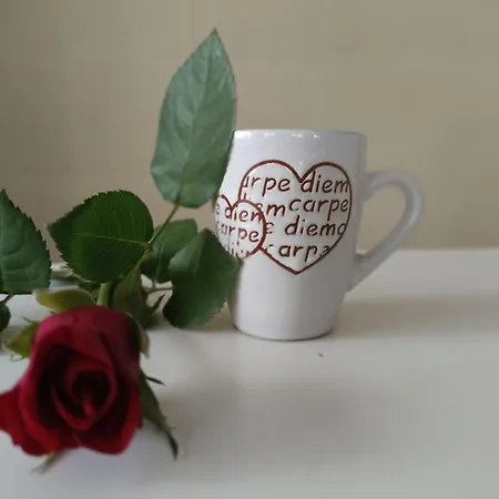 Saisir Le Jour Lejlighed