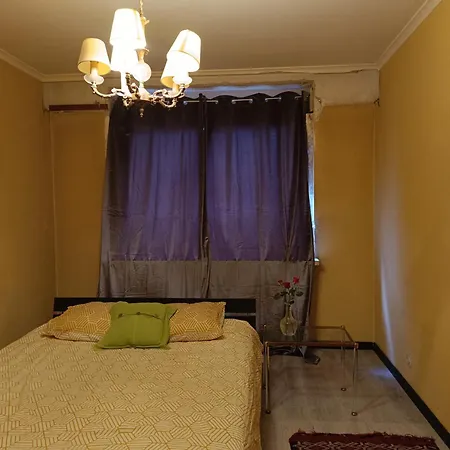 Saisir Le Jour Gante